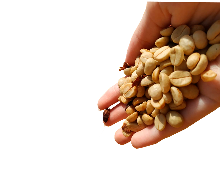 Café