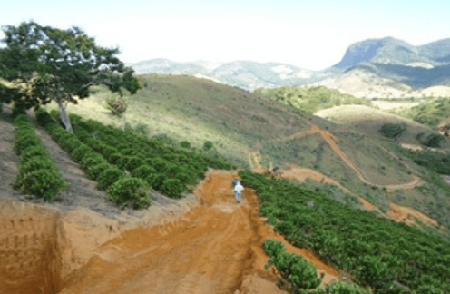 Desenvolvimento Regional Sustentável